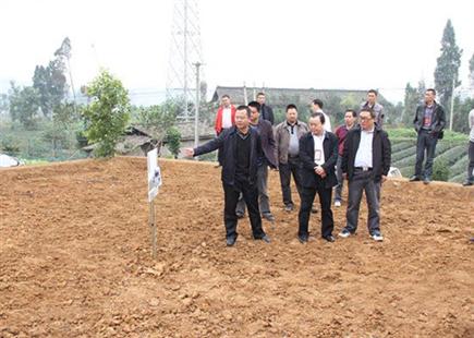 土地整治測(cè)繪項(xiàng)目