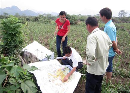 土地整治項(xiàng)目